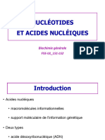 Présentation (2022) - Nucléotides Et Acides Nucléiques