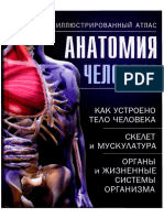 Anatomia Cheloveka Illyustrirovanny Atlas Kassan