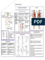 1 Musculoskeletal Mind Map