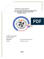 Modelo de Informe - Física