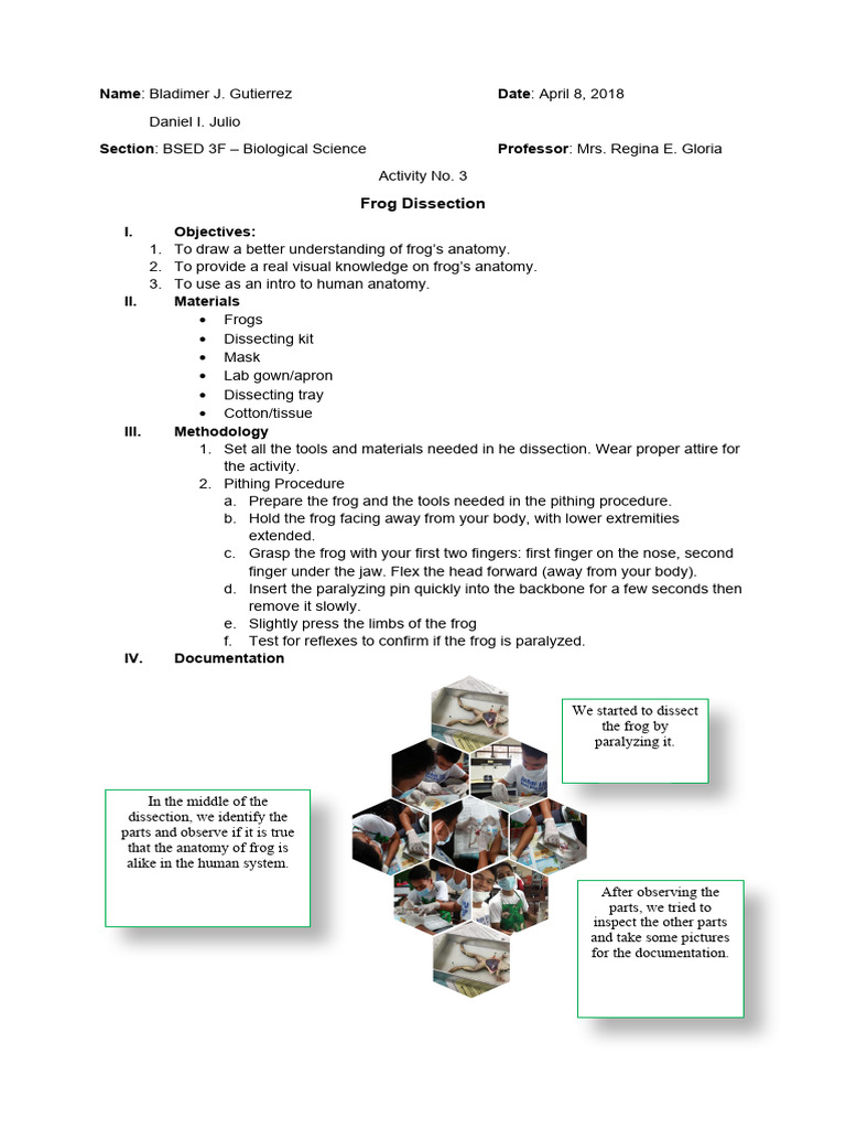 Frog Dissection Procedure and Images | PDF
