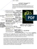 Documento PDF-1B9378540D83-1