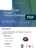 Celler Og Knogle - Handouts