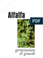 Alfalfa Germination and Growth - Unknown