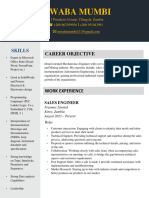 Mwaba's CV 