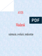 Madarak 2006 F