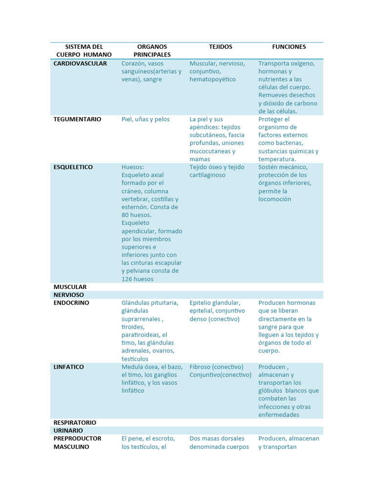 Sistemas Del Cuerpo Humano (Anatomia) | PDF
