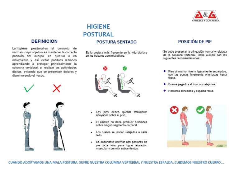 Higiene Postural: Claves y Consejos | PDF | Dolor lumbar | La columna ...