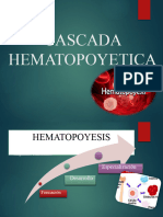 Cascada Hematopoyetica