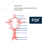 Circle of Willis Labeling Exercise Part2