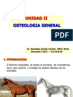 II. Osteologia General-1