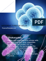 Different Types of Cells