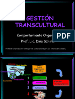 S14041224 Gestion Transcultural