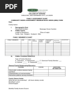 2021 Family Assessment Tool