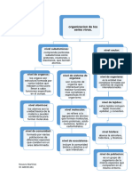 Martinez-Rosaura-Organizacion de Los Seres Vivos