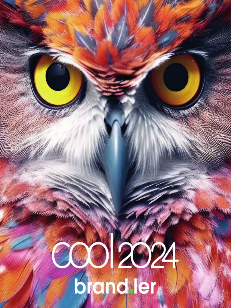 COOL 2024 - Brandler | PDF
