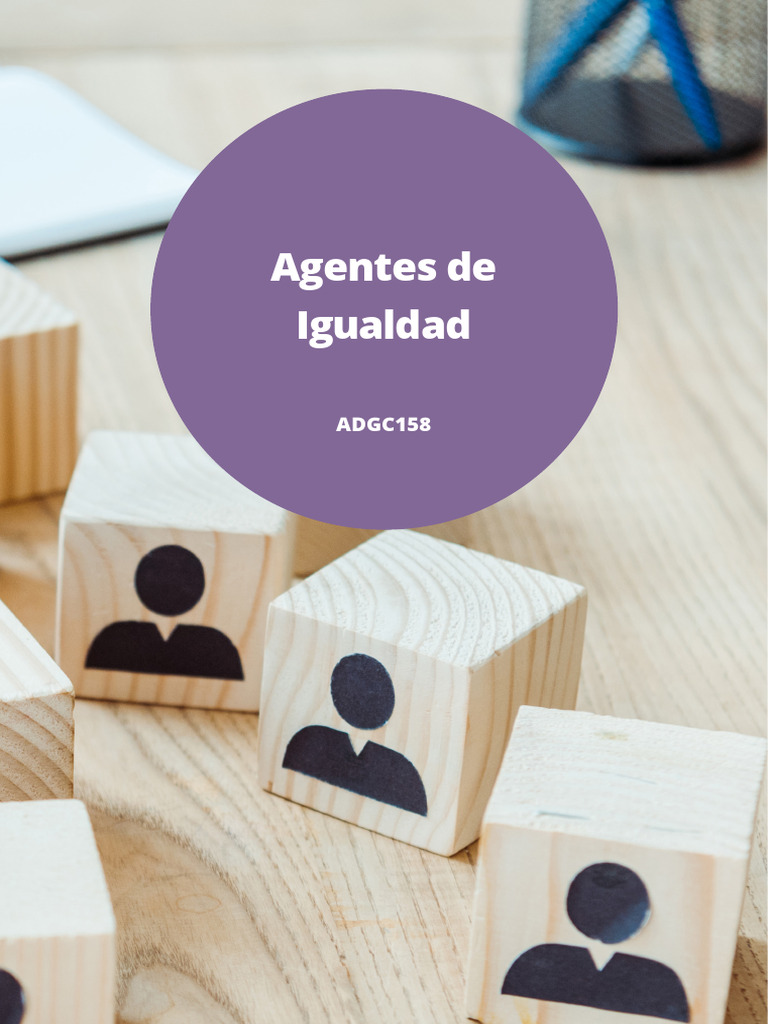 Agentes de Igualdad: Marco y Funciones | PDF | Igualdad de género ...