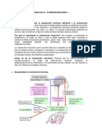 Practica N 19 Neurofisiologia