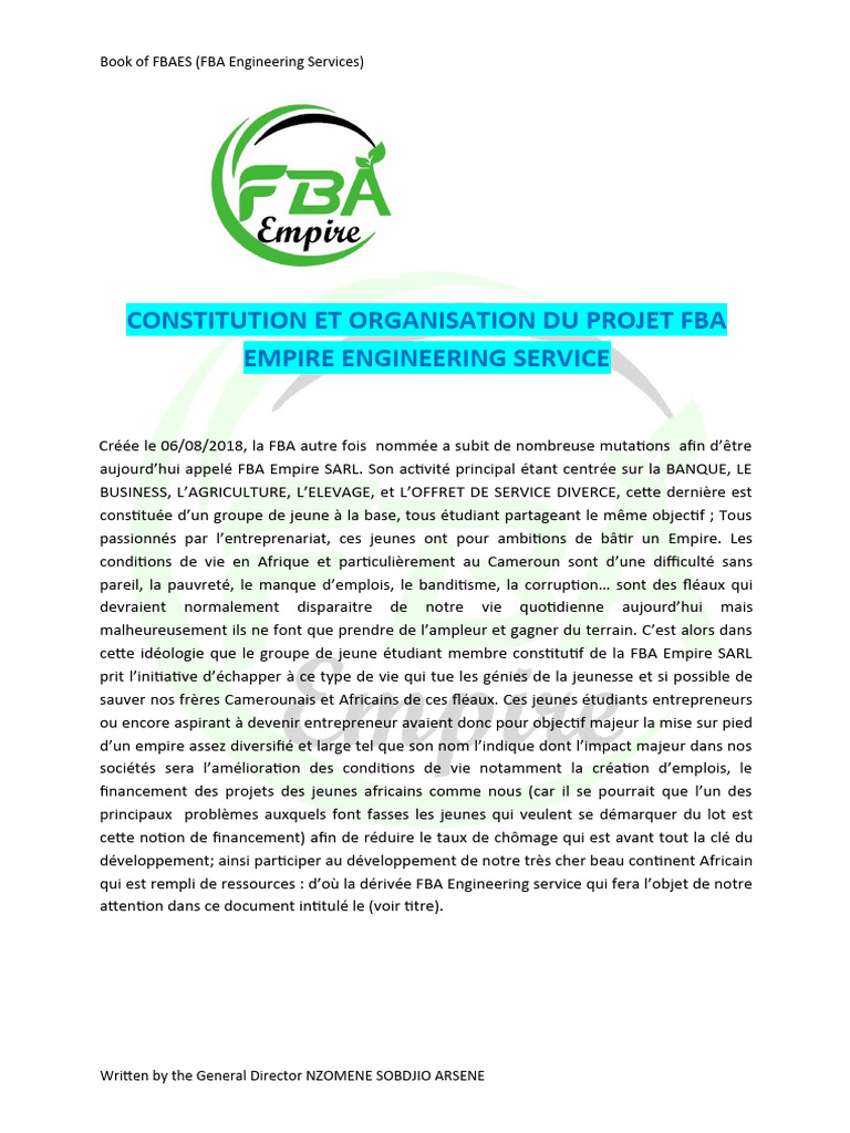 FBA Engineering Services: Un Empire Innovant | PDF | Actionnaire | Afrique