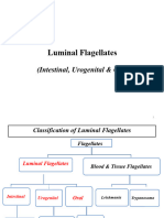 Chapter 3 - Luminal Flagellates