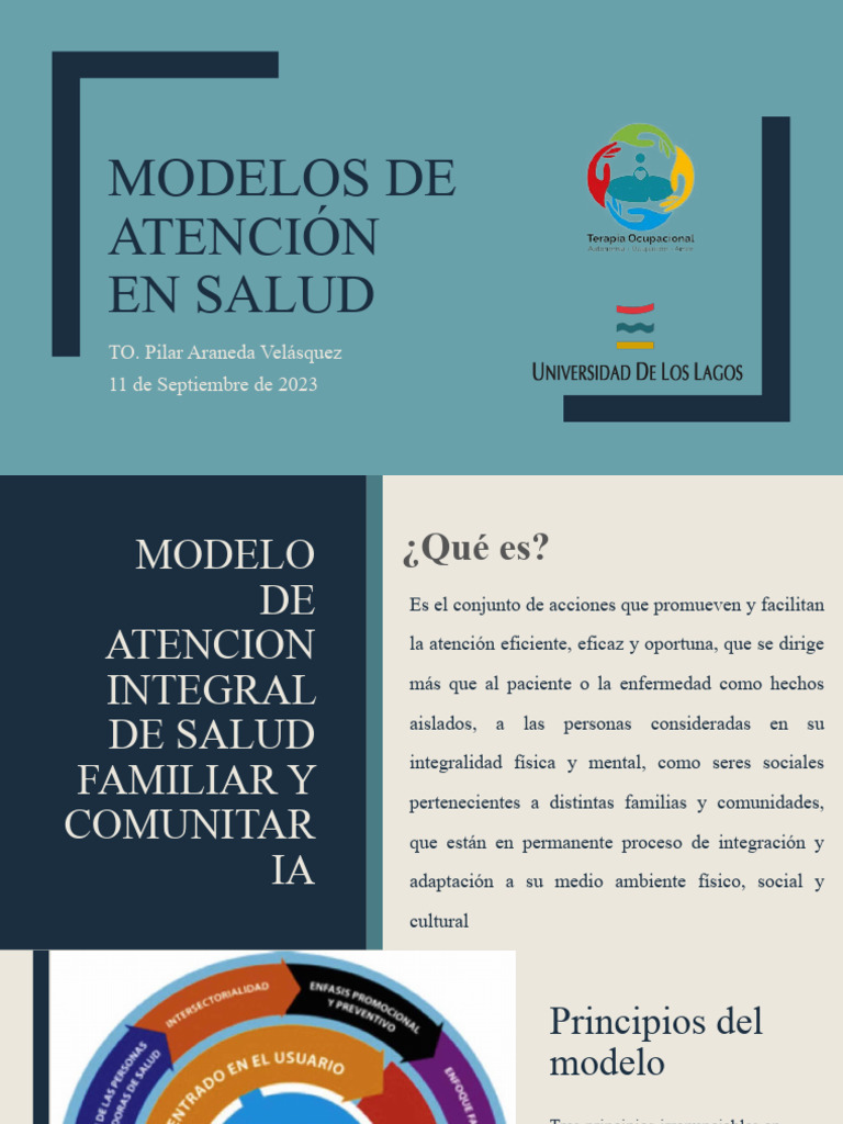 Modelos de Atención en Salud | PDF | Terapia | Historial médico