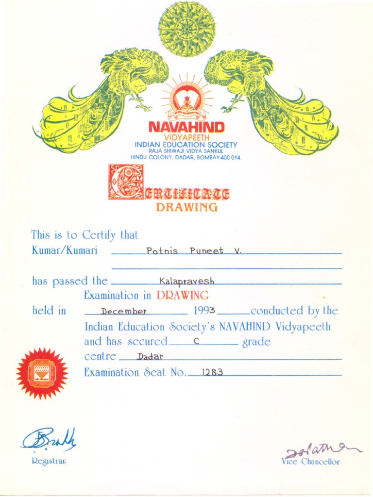 Drawing Examination Certificate 1993 | PDF