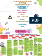 Mapa Conceptual - Sistéma Limbico