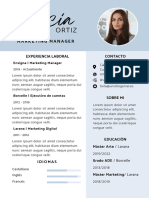 Curriculum Vitae CV Profesional Azul