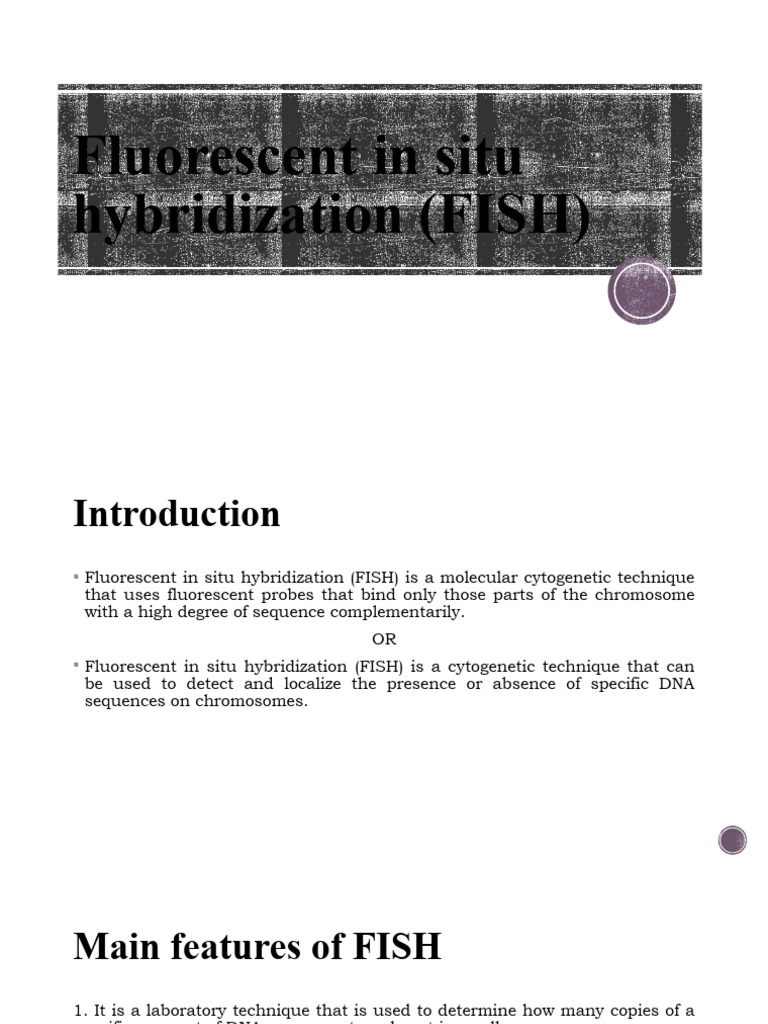Lecture 1 - FISH | PDF | Fluorescence In Situ Hybridization | In Situ ...