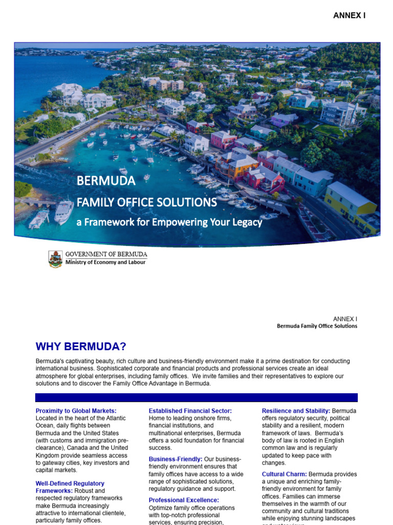 Family Office Governance Structure