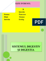 Sist - Digestiv, Cl.7 - 1 - Copie