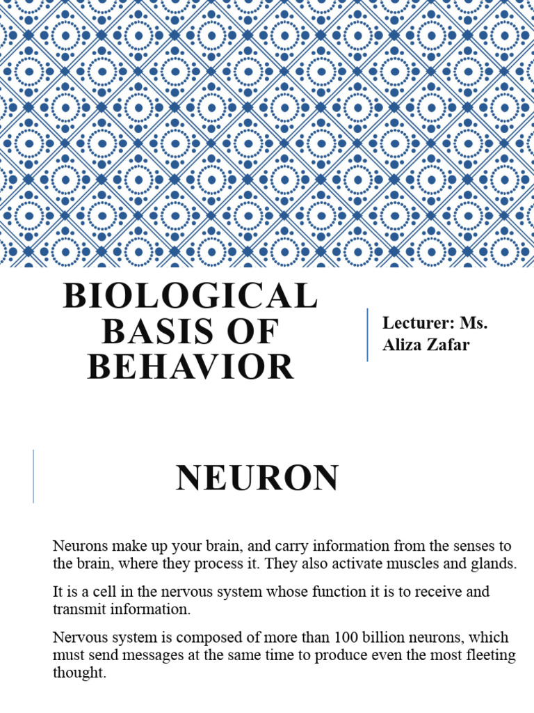 Biological Basis of Behaviour | PDF | Neuron | Nervous System