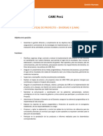 CONVOCATORIA-JEFE.A-DE-PROYECTO-DIVERSAS-II-1