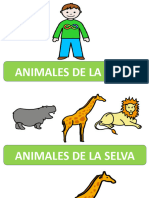 Animales de La Selva