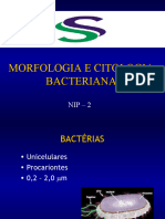 Morfo Cito Bacteriana
