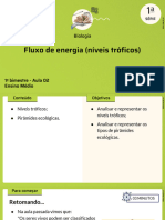 Fluxo de Energia (Níveis Tróficos) : Biologia