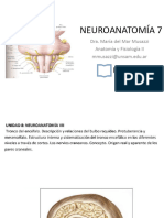 Unidad 8 Neuroanatomia