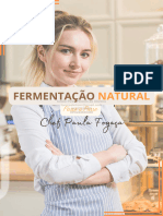 Guia Fermentação Natural