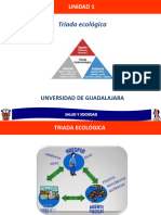 Unidad 1. Triada Ecologica