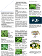 Folder - FETAP - PLANTAS MEDICINAIS
