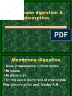 3.4 Membrane Digestion