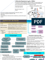 Resumen de SDRA