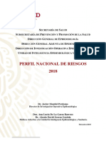 2018 Perfil Nal de Riesgos Version Preliminar