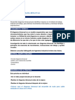 Práctica Diagrama Bimanual - 2023