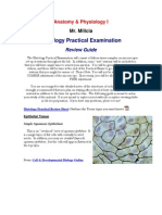 Practical Review Guide - Histology