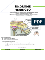 SINDROME MENINGEO Resumen