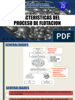 CAP 1. CARACTERISTICAS DEL PROCESO DE FLOTACION (Autoguardado)