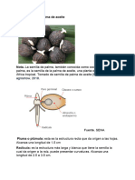 Taller Identificación y Clasificación de Semillas