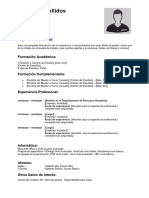 Curriculum Vitae Combinado