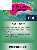 Structure & Function of The Cell